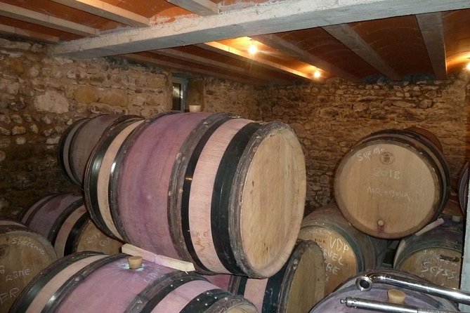 Northern Rhône Valley Wine tour from Lyon Half Day - Who will enjoy this four-hour wine trip?