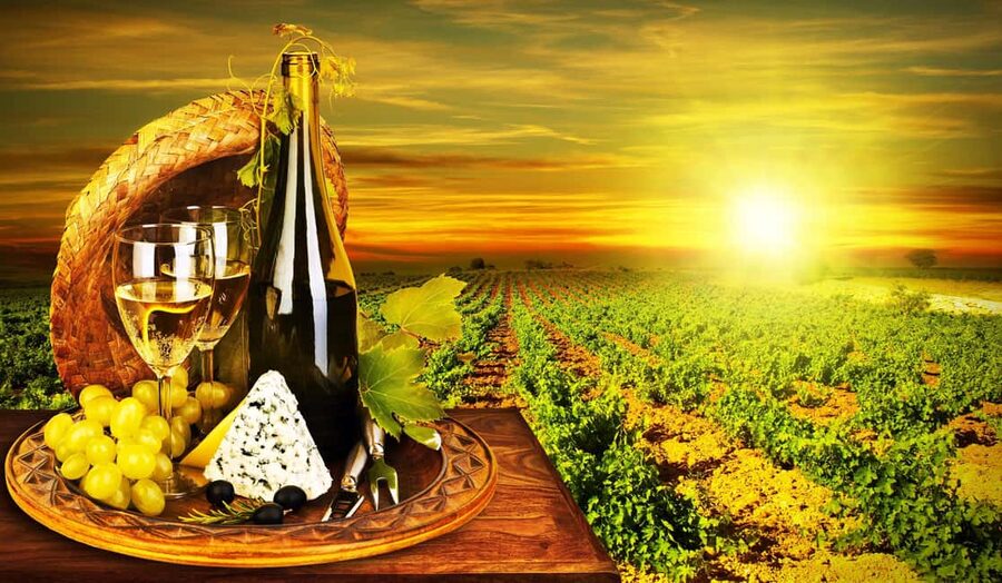 Organic Wine Tasting with Saint paul Half Day Tour from Nice - Leaving Nice for the hills