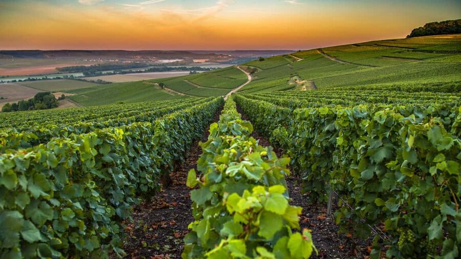 Organic Wine Tasting with Saint paul Half Day Tour from Nice - Saint Paul de Vence, the artistic hilltop village