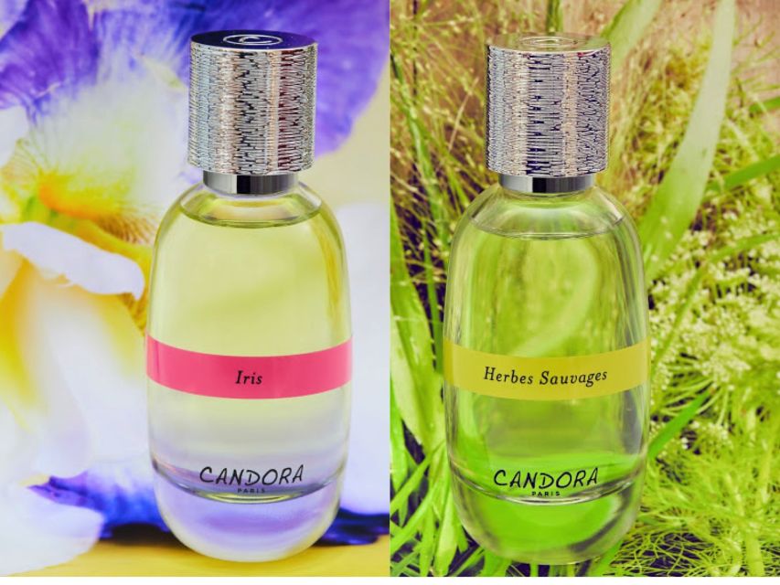 Paris: 2-Hour Perfume Creation Workshop - Finding the door near Ile Saint Louis