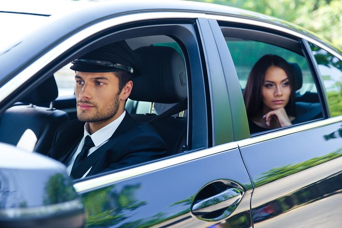 Paris Airports Private Roundtrip Transfer - Vehicle size and luggage planning