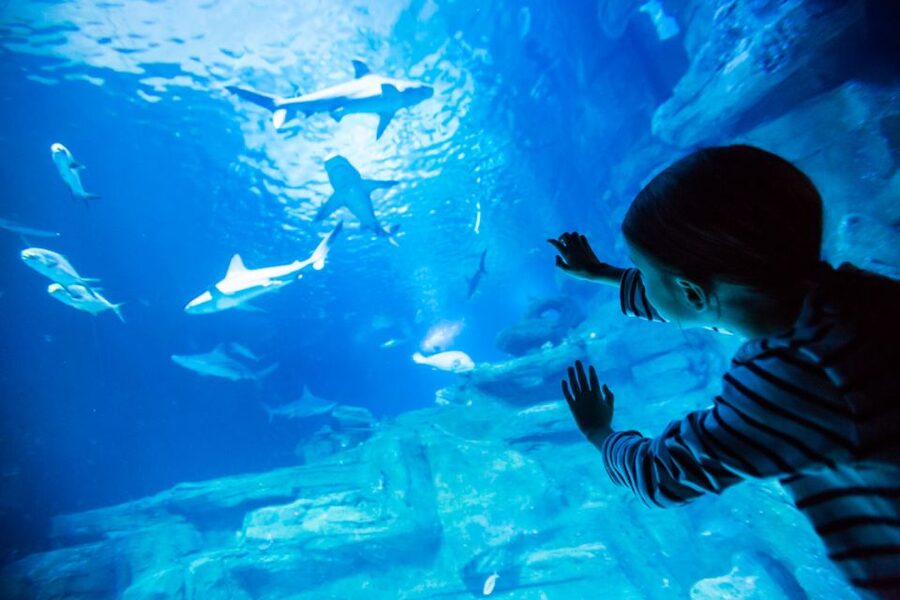 Paris: Aquarium de Paris Entrance Ticket - Key points to know before you go