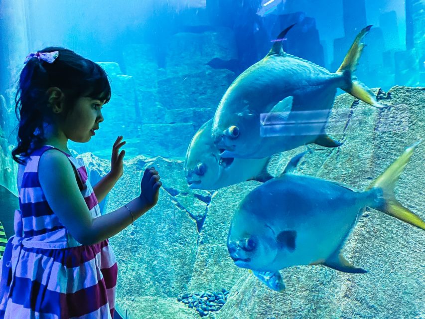 Paris: Aquarium de Paris Entrance Ticket - Touching koi fish at the interactive pool