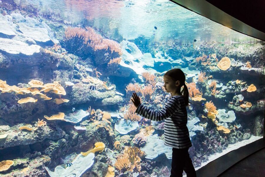 Paris: Aquarium de Paris Entrance Ticket - Films, workshops, and live shows