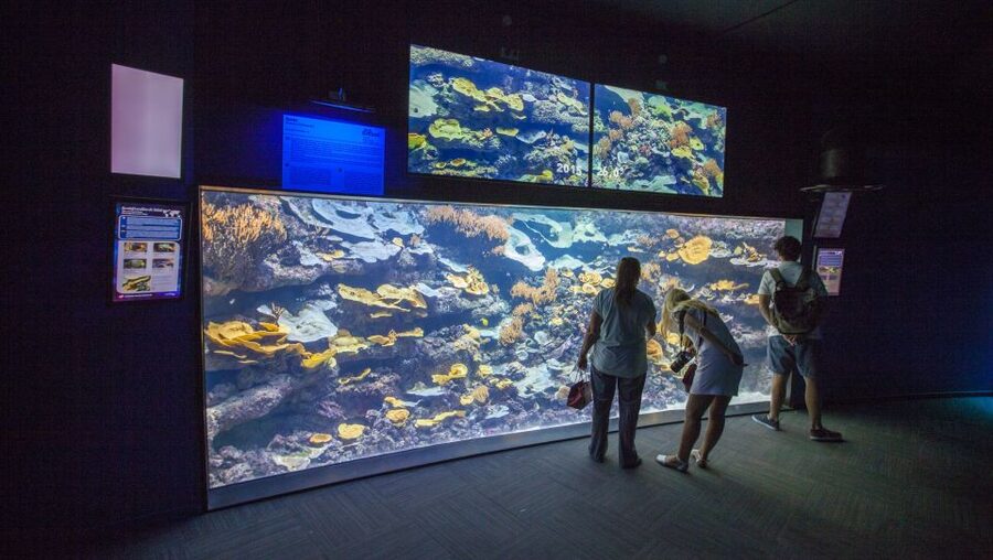 Paris: Aquarium de Paris Entrance Ticket - Is it really a one-hour attraction?