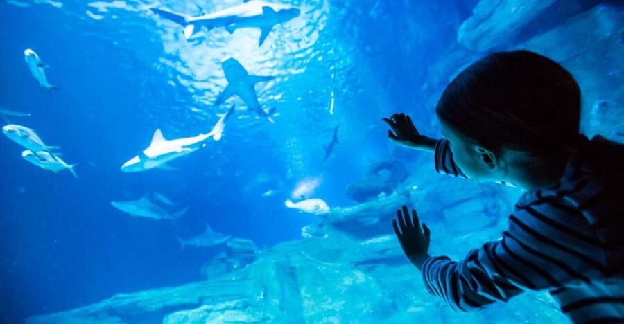 Paris: Aquarium de Paris Entrance Ticket - What the $25 admission really buys you