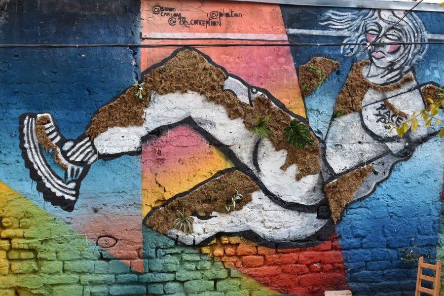 Paris: Belleville Street Art Tour with an Artist - Meeting the artist and setting off on Rue Villiers de l’Isle Adam
