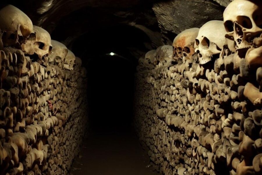 Paris: Catacombs, Audio Guide, and River Cruise Option - Is the $94 price good value?