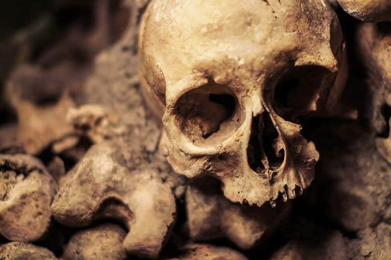 Paris: Catacombs Special Access Tour - Key points to know before you go
