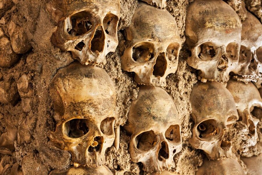 Paris: Catacombs Ticket and Seine River Cruise - What the $104 Price Really Buys
