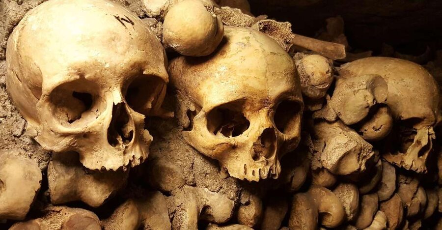 Paris: Catacombs Ticket and Seine River Cruise - Getting the Tickets Right Before You Leave