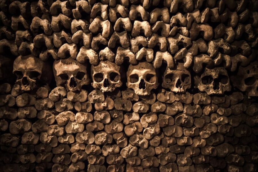 Paris: Catacombs Ticket and Seine River Cruise - Reaching the Seine Cruise Afterward