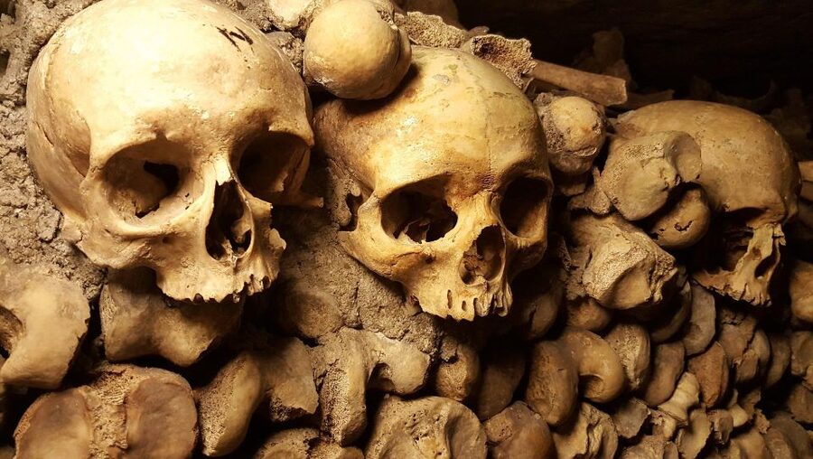 Paris: Catacombs Ticket and Seine River Cruise - Audio Guides, Languages, and Pace