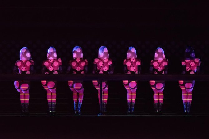 Paris Crazy Horse Cabaret Show Champagne & macarons - Service and organization at the club