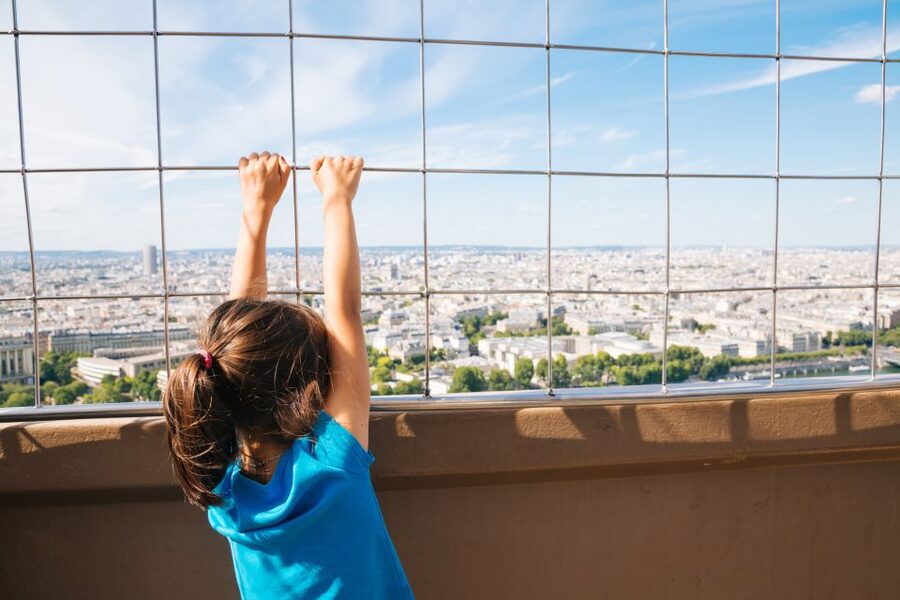 Paris: Eiffel Tower 2nd Floor Access or Summit Access - Choosing the summit option