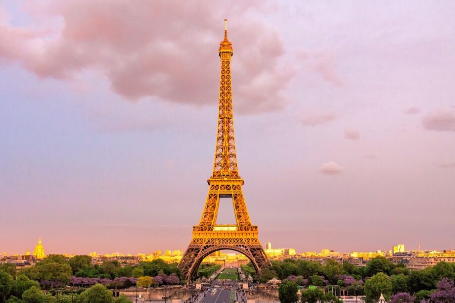 Paris: Eiffel Tower 2nd Floor Access or Summit Access - Passing security and the first Eiffel Tower queues