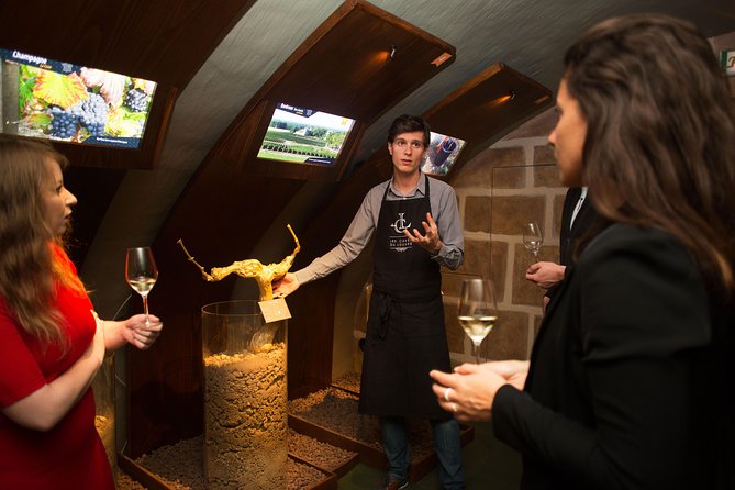 Paris - Guided Visit & Tasting in a Royal Wine Cellar - The cellar experience: atmospheric, but not untouched