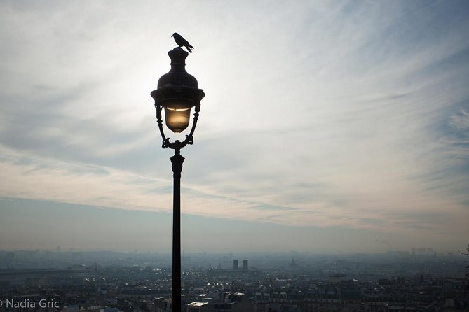 Paris Half Day Private Customized Walking Tour, Transport Options - What this private Paris day is really for