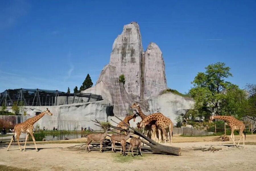 Paris: Paris Zoological Park Entrance Ticket - Key Points Before You Go