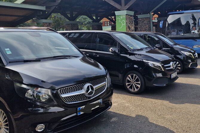 Paris Private City Tour Experience - How to get more from your driver