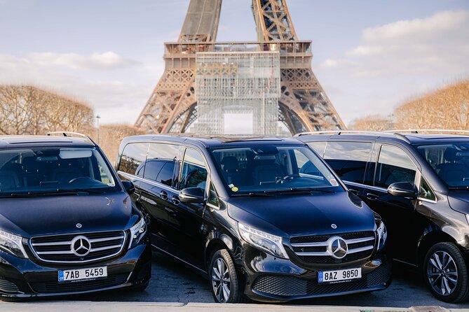 Paris Private City Tour Experience - Who will like this Paris experience?