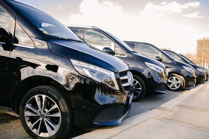 Paris Private City Tour Experience - The biggest distinction: driver or guide?