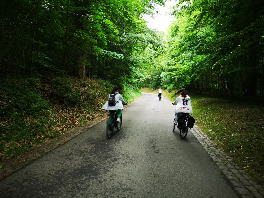 Paris: Versailles Palace and Queen Hamlet E-Bike Tour - Who should book this active Versailles day?