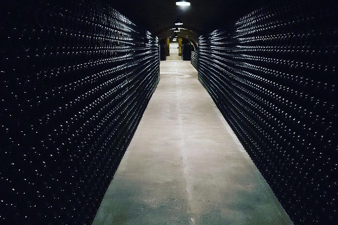 Paris Wine Day Tours exclusive Champagne tour incl. 3 visits - Who should book this tour?