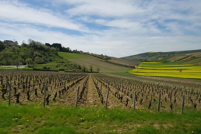 Paris Wine Day Tours exclusive wine tour in the Sancerre area - Key points to know before booking