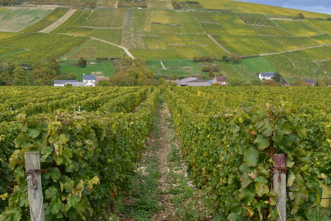 Paris Wine Day Tours exclusive wine tour in the Sancerre area - Why Sancerre makes a worthwhile day from Paris