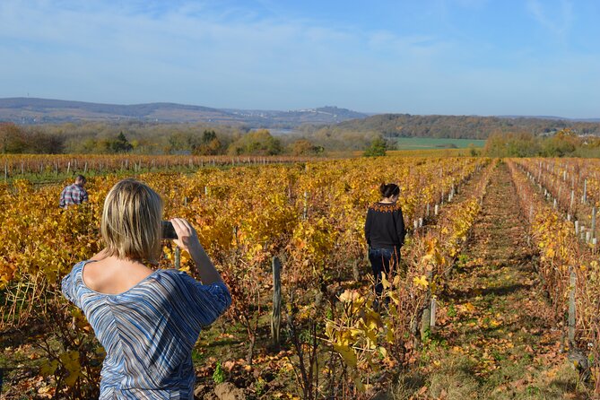 Paris Wine Day Tours exclusive wine tour in the Sancerre area - A small group makes the winery visits personal