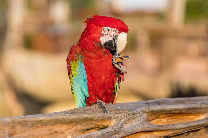 Parrot World Immersive Wildlife Park Entry Ticket next to Paris - The South American animals and keeper sessions
