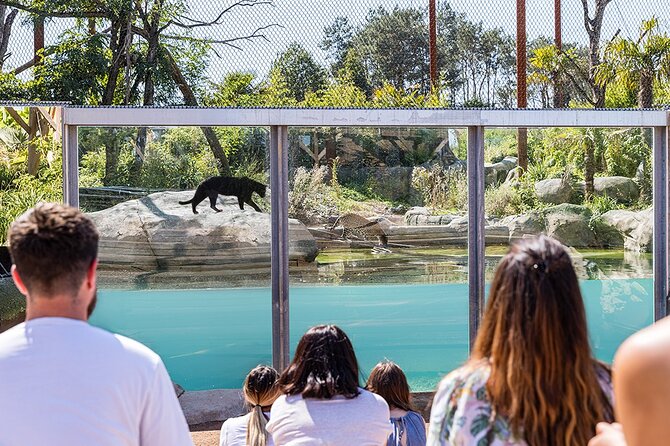 Parrot World Immersive Wildlife Park Entry Ticket next to Paris - Why the two to three-hour length can work well