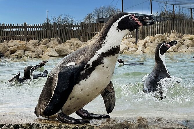 Parrot World Immersive Wildlife Park Entry Ticket next to Paris - Following the Amazonia and Patagonia treks