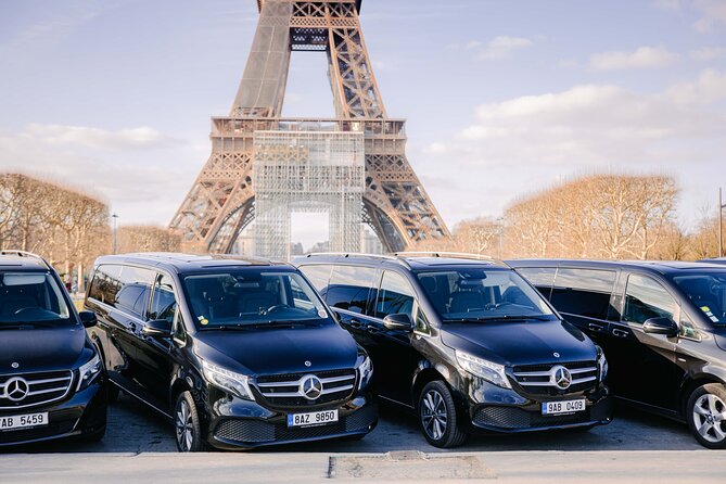Personalized Transport service from Disneyland to Paris - Key Points Before You Book