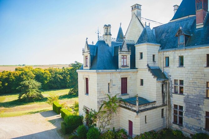 Picnic in the Vines - A Unique Loire Wine Experience - Key points at a glance