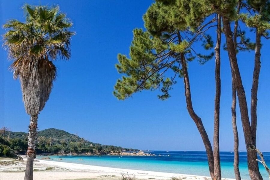 Porticcio: Coastal Train Ticket with Audio Guide & Tastings - What the French audio guide adds