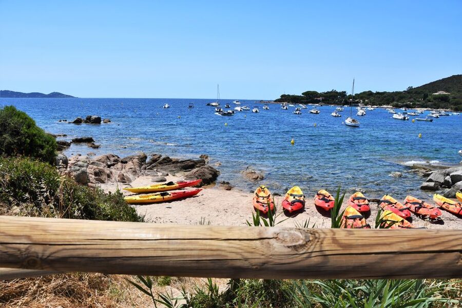 Porticcio: Guiding Kayaking Tour - How Much Value You Get for $51