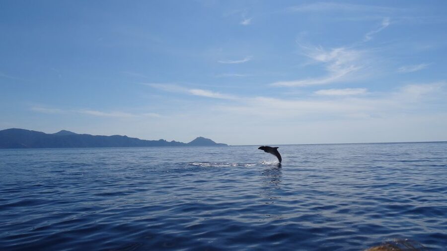 Porto: Half-Day Cruise Scandola Reserve & Calanche de Piana - The first 90 minutes: Scandola’s cliffs and sea caves