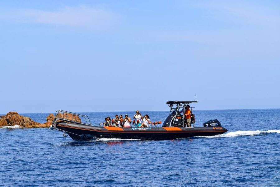 Porto: Scandola and Calanches of Piana Boat Trip - Who will enjoy this Porto boat trip?