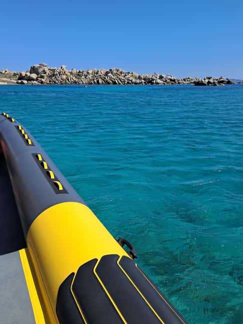 Porto-Vecchio : Discover Nature Through the Lavezzi Islands - Starting among the seabirds at the Cerbicales Islands