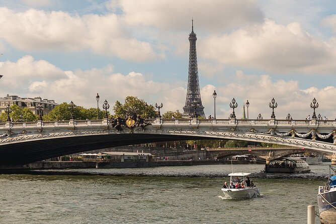Private Cruise to Discover Paris - Isle of the Swans and the Eiffel Tower