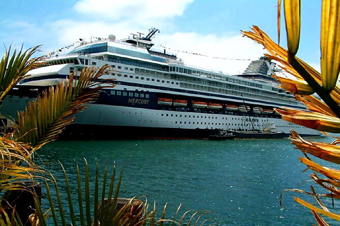 Private Customized French Riviera Tour from Port of Cannes 8H - Nice: Old Town, Flowers, and Coastal Views