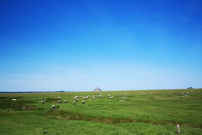 Private Day Tour of Mont Saint-Michel from Bayeux - Is $519.88 per person a fair price?