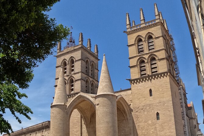 Private Discovery of Montpellier by Bike-Taxi - The Saint Clément Aqueduct and the Pic Saint-Loup view