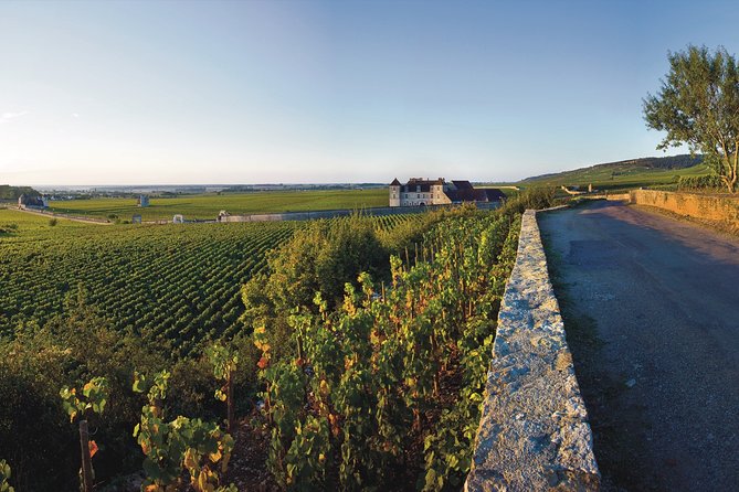 Private excursion to Côte de Beaune and Côte de Nuits (full day) - Morning in Côte de Beaune: learning how Burgundy is classified