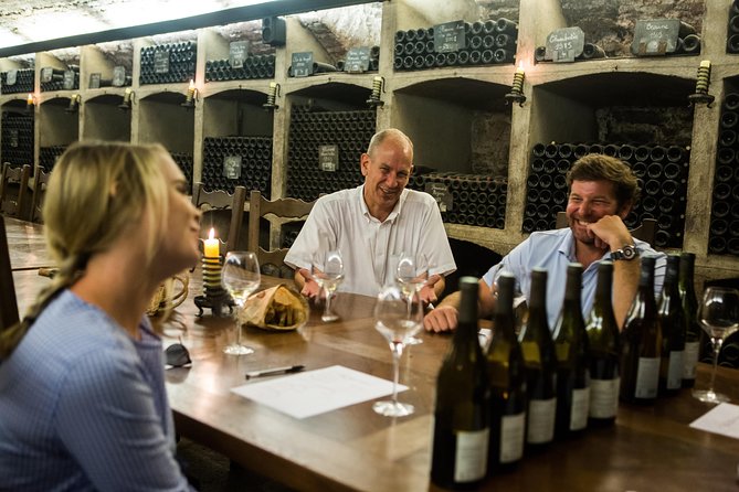 Private excursion to Côte de Beaune and Côte de Nuits (full day) - Afternoon among the vines and in the cellar