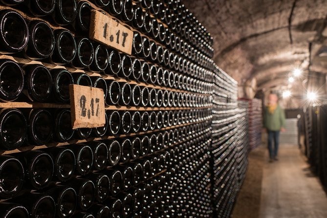 Private excursion to Côte de Beaune and Côte de Nuits (full day) - Côte de Nuits: Romanée-Conti, Vougeot, and Clos de Bèze