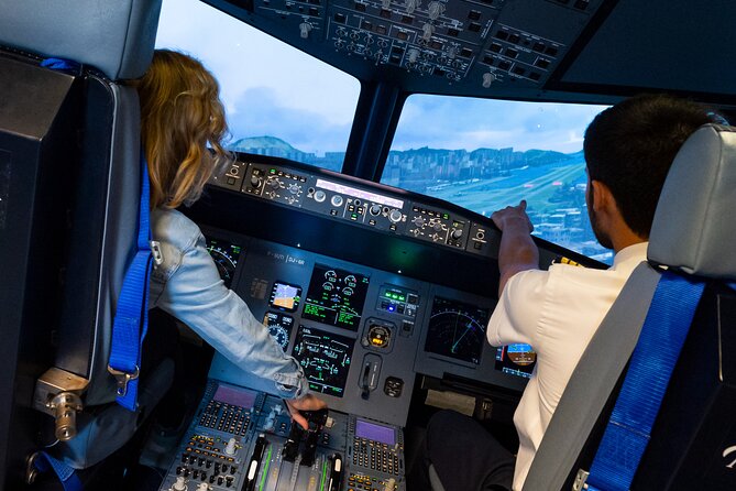 Private Pilotage of a Flight Simulator in Paris - Equipment, realism, and the limits of a short session