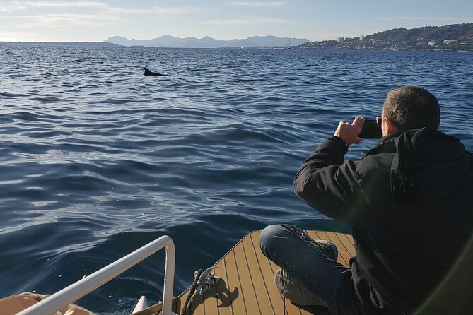 Private Solar Catamaran Cruise in Antibes Juan les Pins - The quiet solar catamaran experience